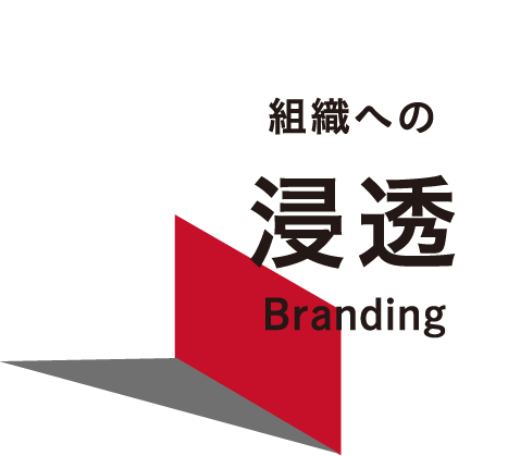 組織への浸透